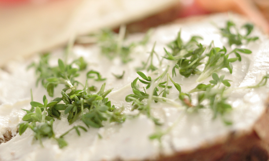 Butter-Alternativen fürs Brot